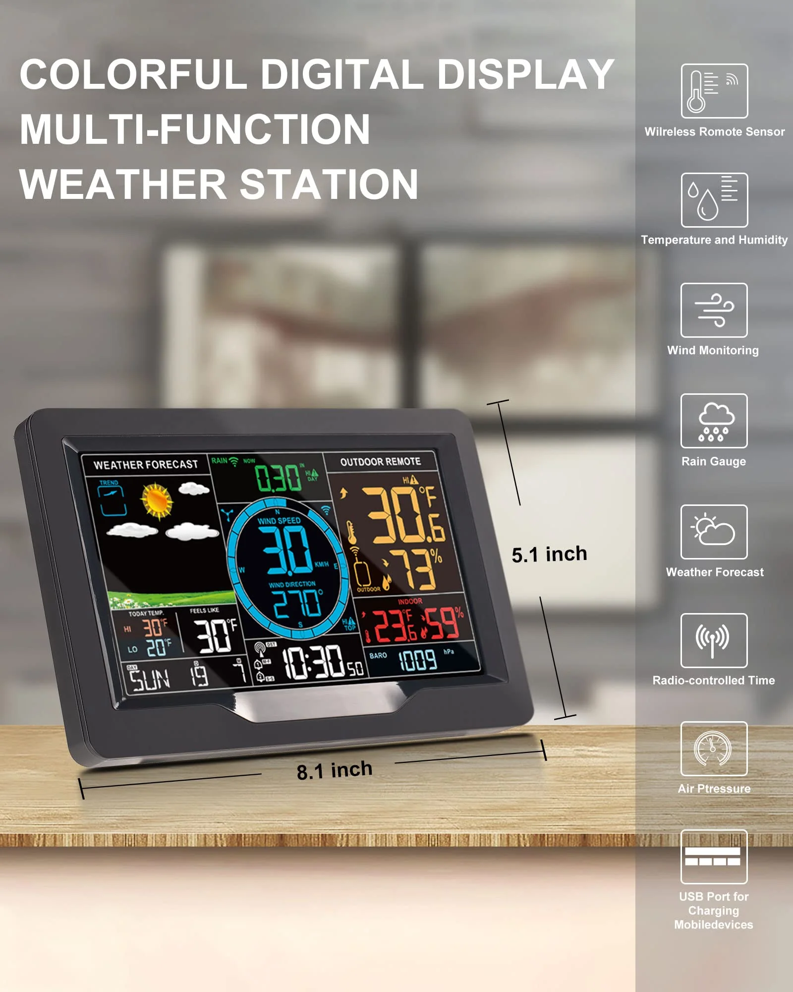 Professional Weather Station Wireless Indoor Outdoor Thermometer